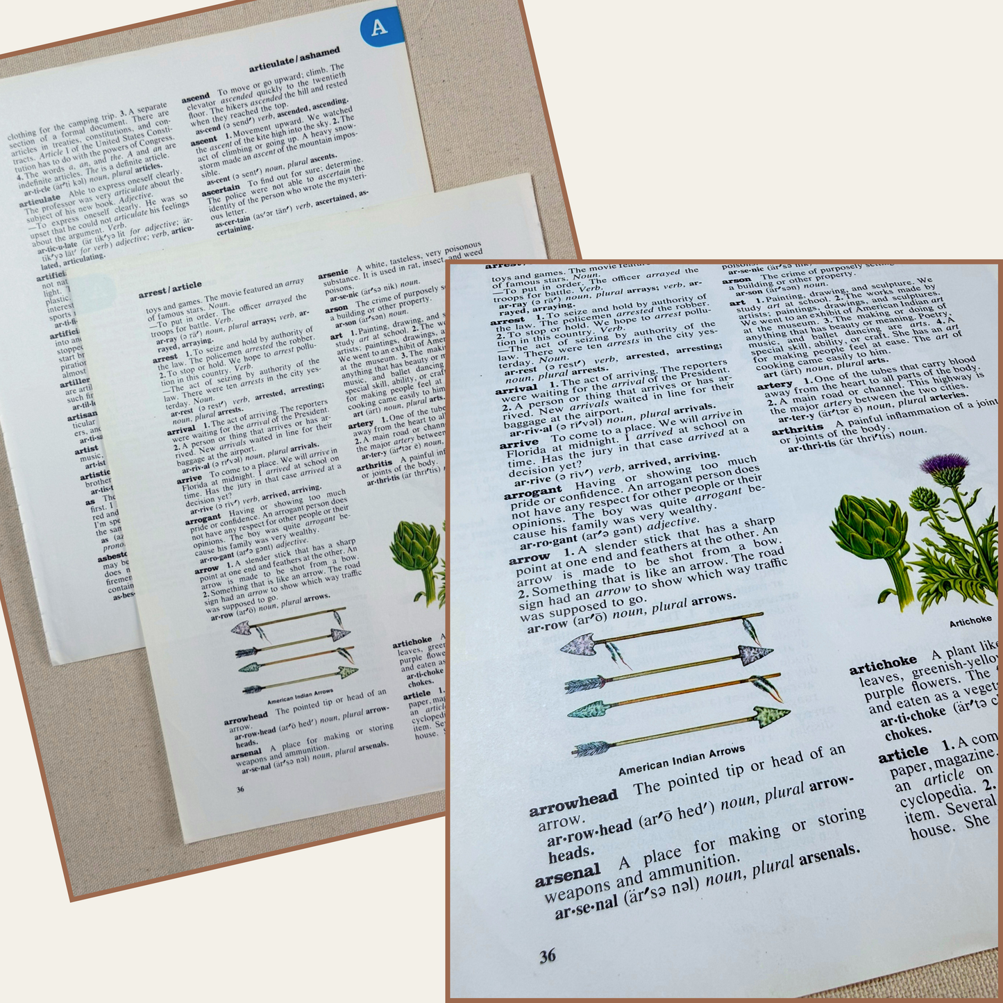 vintage paper collection - the schoolmaster's papers