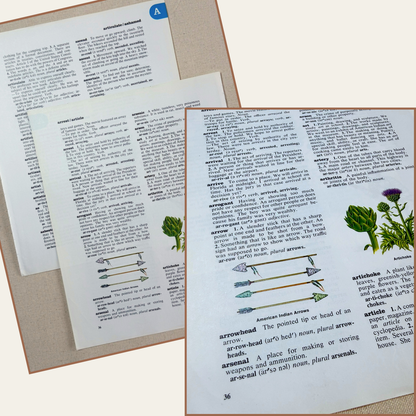 vintage paper collection - the schoolmaster's papers
