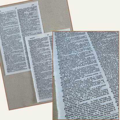 vintage paper collection - the schoolmaster's papers